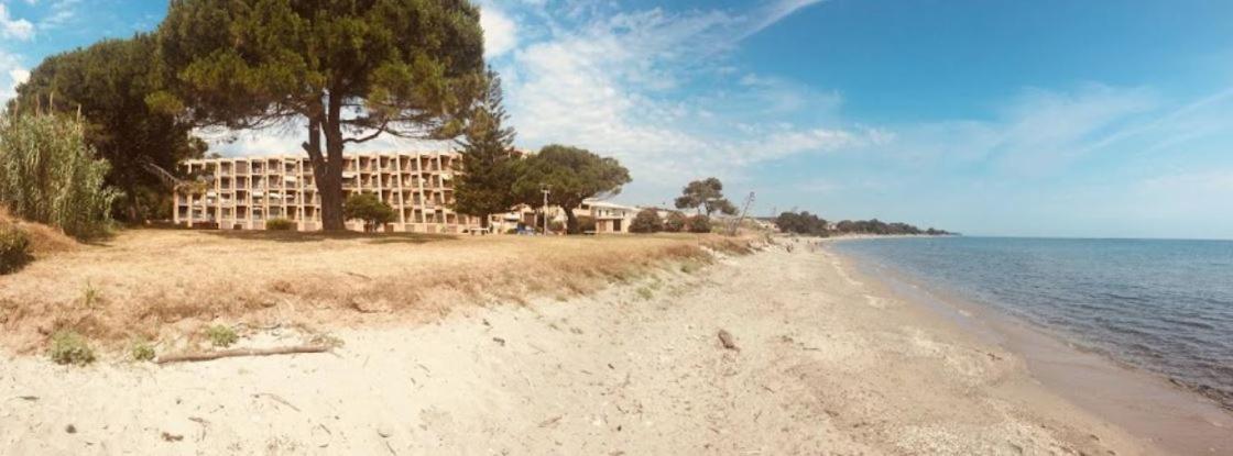 Studio Bord De Mer - Piscine - Plage San-Nicolao Exterior photo